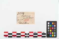 Etikett zu Schleifstein (NHMW-PRAE-025329)